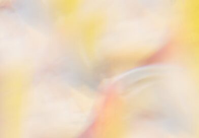 Harmoniser les couleurs pour une maison apaisante