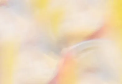 Harmoniser les couleurs pour une maison apaisante