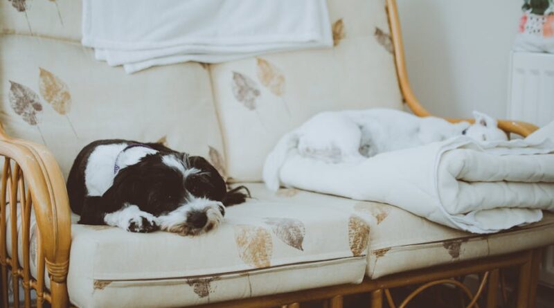 Comment créer une ambiance chaleureuse chez soi