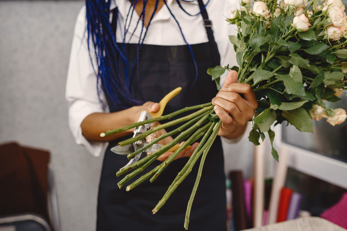 Mesures de coupe pour la taille des rosiers